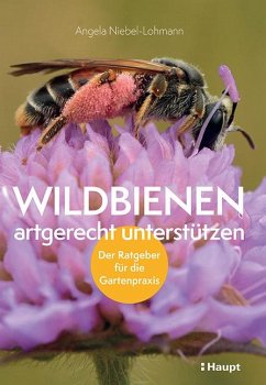 Wildbienen artgerecht unterstützen - Niebel-Lohmann, Angela K.