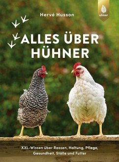Alles über Hühner - Husson, Hervé