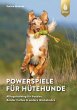 Powerspiele für Hütehunde - Bild 1
