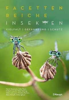 Facettenreiche Insekten - Husemann, Martin;Thaut, Lioba;Leopold, Frithjof