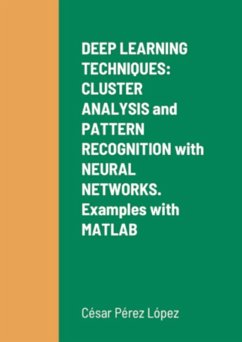 DEEP LEARNING TECHNIQUES: CLUSTER ANALYSIS and PATTERN RECOGNITION with NEURAL NETWORKS. Examples with MATLAB (eBook, ePUB) - Pérez López, César
