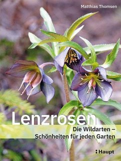 Lenzrosen - Thomsen, Matthias
