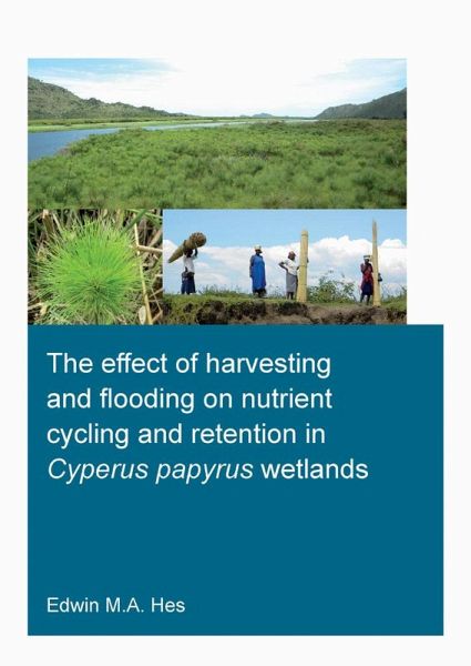 The effect of harvesting and flooding on nutrient cycling and retention in Cyperus papyrus wetlands (eBook, ePUB)