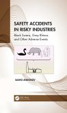 Safety Accidents in Risky Industries (eBook, PDF)