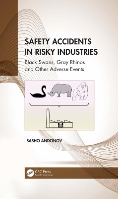 Safety Accidents in Risky Industries (eBook, ePUB) - Andonov, Sasho