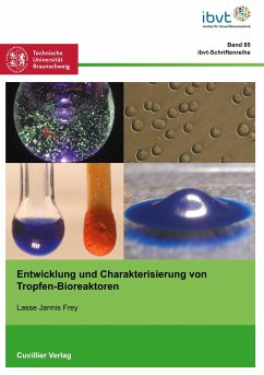 Entwicklung und Charakterisierung von Tropfen-Bioreaktoren - Frey, Lasse Jannis