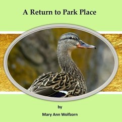 A Return to Park Place - Wolfzorn, Mary Ann