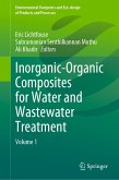 Inorganic-Organic Composites for Water and Wastewater Treatment (eBook, PDF)