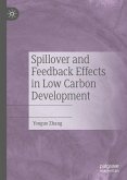 Spillover and Feedback Effects in Low Carbon Development (eBook, PDF)