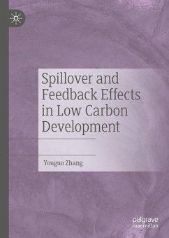 Spillover and Feedback Effects in Low Carbon Development (eBook, PDF) - Zhang, Youguo