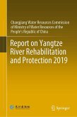 Report on Yangtze River Rehabilitation and Protection 2019 (eBook, PDF)