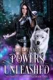Powers Unleashed (The Mystical Diamond, #2) (eBook, ePUB)