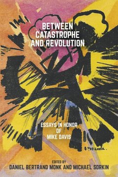 Between Catastrophe and Revolution (eBook, ePUB)