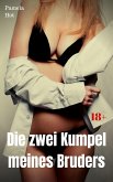 Die zwei Kumpel meines Bruders (eBook, ePUB)