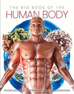 The Big Book of the Human body - Marsh, Katherine