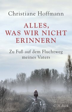 Alles, was wir nicht erinnern - Hoffmann, Christiane