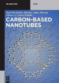 Carbon-Based Nanotubes - Hernández Sánchez, Raúl;Mirzaei, Saber;Castro Portillo, Edison Arley