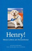 Henry! Mein Leben als Fernsehstar Henry! Mein Leben als Fernsehstar