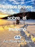 Versos Breves Sobre El Invierno (eBook, ePUB)