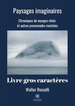 Cover Paysages imaginaires - Livre gros caractères