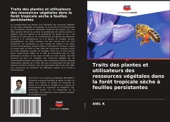 Traits des plantes et utilisateurs des ressources végétales dans la forêt tropicale sèche à feuilles persistantes - K, ANIL