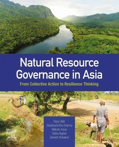 Natural Resource Governance in Asia (eBook, ePUB)