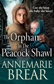 The Orphan in the Peacock Shawl (eBook, ePUB)