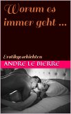 Worum es immer geht ... (eBook, ePUB)