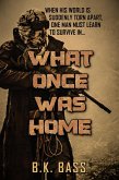 What Once Was Home (eBook, ePUB)
