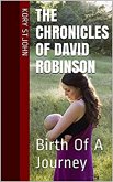 Birth Of A Journey (The Chronicles Of David Robinson, #1) (eBook, ePUB)