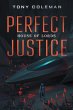 Perfect Justice (eBook, ePUB) - Bild 1