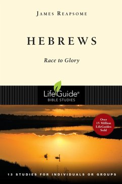 Hebrews (eBook, ePUB) - Reapsome, James