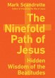Ninefold Path of Jesus (eBook, ePUB) - Bild 1