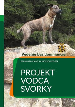 Projekt: Vodca svorky - Vedenie bez dominancie - Kainz, Bernhard
