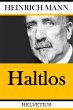 Haltlos (eBook, ePUB) - Bild 1