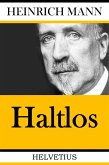 Haltlos (eBook, ePUB)
