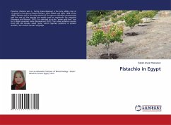 Cover Pistachio in Egypt