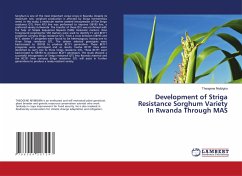 Development of Striga Resistance Sorghum Variety In Rwanda Through MAS - Niyibigira, Theogene