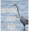 Discovering Jericho Beach (eBook, ePUB) - Bild 1