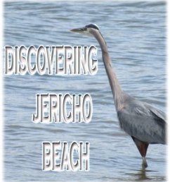 Discovering Jericho Beach (eBook, ePUB) - Kong, Rowena