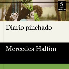 Diario pinchado (MP3-Download) - Halfon, Mercedes