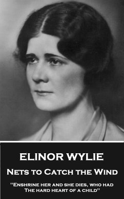 Nets to Catch the Wind (eBook, ePUB) - Wylie, Elinor