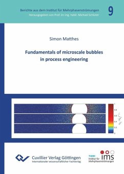 Fundamentals of microscale bubbles in process engineering (eBook, PDF)