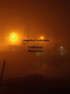 Tödlicher Wahnsinn (eBook, ePUB)