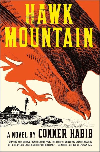 Hawk Mountain (eBook, ePUB)