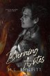 Burning Notes (Captive Writings, #4)... - Bild 1