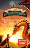 Der Drache mit den silbernen Hörnern / Die geheime Drachenschule Bd.2