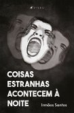 Coisas estranhas acontecem à noite (eBook, ePUB)