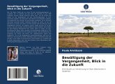 Bewältigung der Vergangenheit, Blick in die Zukunft