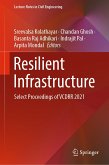 Resilient Infrastructure (eBook, PDF)